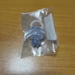 ポケピース　めじるしアクセサリー