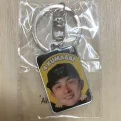 熊谷敬宥 ファンクラブ限定ガラコロ メタルキーホルダー 阪神タイガース