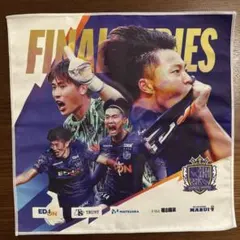 サンフレ 記念グッズ