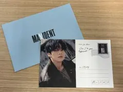 straykids MAXIDENT レターセット リノ