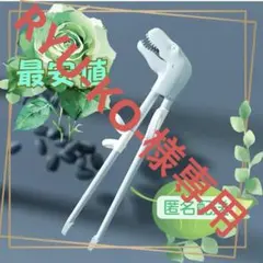 Item thumbnail for item efd42be5-a9f6-453f-9f0a-85042de5e022