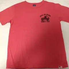 Studio D'artisan Tシャツ Mサイズのサムネイル