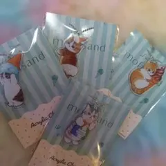 《モフサンド》アクリルチャーム☆全4種