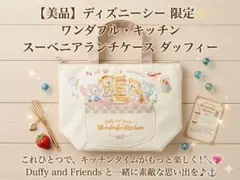 【美品】ディズニーシー ワンダフル・キッチン スーベニアランチケース ダッフィー