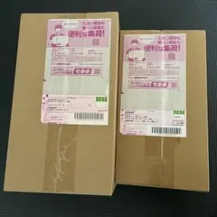 【未開封】ポケモンセンター スペシャルBOXトウホク スペシャルBOX ヒロシマ