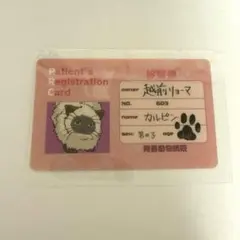2026年最新】テニスの王子様 mix&match cardの人気アイテム - メルカリ