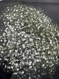 みどりこ様 リクエスト 2点 まとめ商品