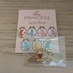 ディズニーストア プリンセス シークレットチャーム白雪姫