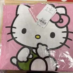 サンリオハウス　ハローキティ シナモロール バッグSサイズ