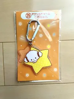 サンリオキャラクター大賞2025　当たりくじ　こぎみゅん