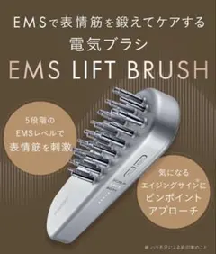 SALONIA EMS 電気ブラシ