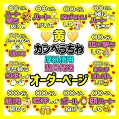 のり様　専用　カンペうちわ