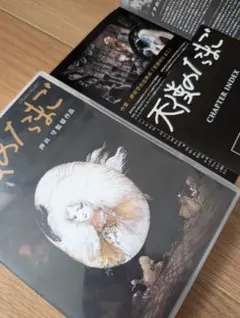 ⚫︎最終価格 天使のたまご DVD 押井守 天使のたまご DVD 押井守監督作品 根津甚八 - メルカリ