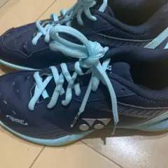 Item thumbnail for item 052c3bec-b7d2-43b1-9509-13c5d6ebb367