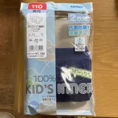 グンゼ　ブリーフパンツ　一枚