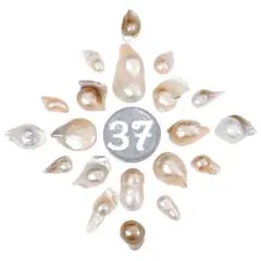 37 淡水パール ユニーク型 ミックス 20pcs 8〜20mm 穴なし