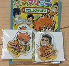 アクリミニ　ハイキュー