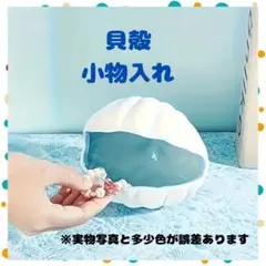 貝殻　小物入れ　インテリア　置物　小物　アクセサリー　部屋　おしゃれ　上品　韓国