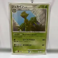 2026年最新】Pokemon Card Game カード名：ジュカイン ポケモンカード