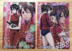 銀魂 志村妙 レアカード2枚セット