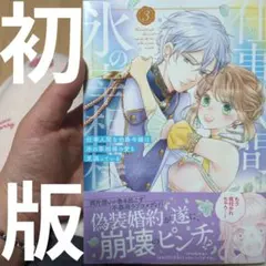 仕事人間な伯爵令嬢は氷の宰相様の愛を見誤っている 3