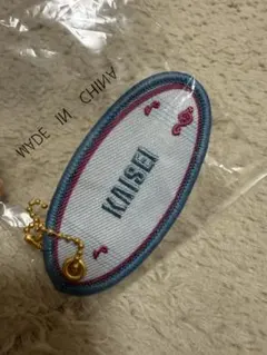 Item thumbnail for item 540a3c53-e45d-4651-9dc9-ebaced4489a5