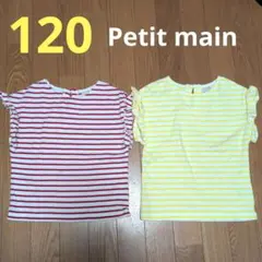 petit main Tシャツ 120サイズ 2枚セット