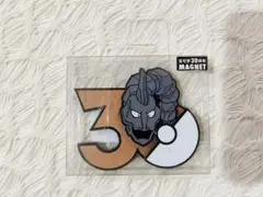 中国限定 【新品】イワンコ ポケモン 30周年 マグネット 宝可梦MAGNET