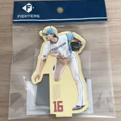 日本ハムファイターズ　勝利祈願　ゴールドミラーアクリルスタンド　達孝太 #16