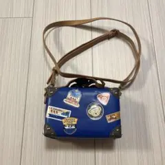 東京ディズニーシー　ダッフィー　カメラケース