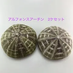 Item thumbnail for item 38e21721-dfcb-4514-8bda-e639b242c480