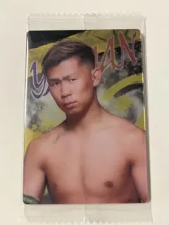 RIZINウエハース24 未開封カード YA-MAN選手