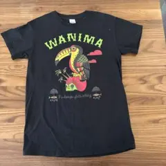 かんたろうさま専用 WANIMA 天草限定Tシャツ（M） - メルカリ