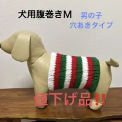 犬用腹巻きM （幅短め）男の子　H604