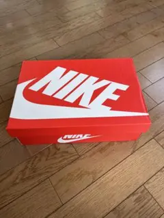 NIKE DUNK LOW RETRO 10.5