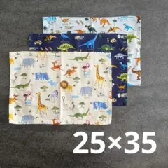 【25×35cm】ランチョンマット 3枚まとめ 男の子