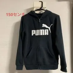 PUMA  トレーナー　フード　150センチ