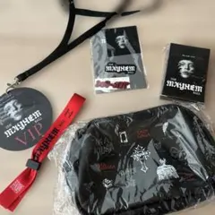 LADY GAGA THE MAYHEM BALL VIP Silver 未開封 - メルカリ