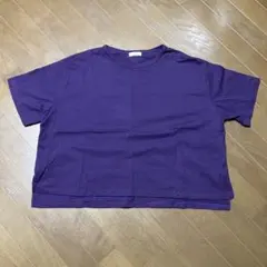 earth music &ecology tシャツ