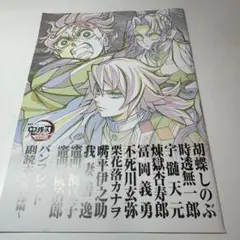 鬼滅の刃無限城編 入場者特典12弾 パン フレット副読本 鬼殺隊編