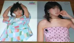中森明菜ポスター(72) デビュー当時 市販品② 中森明菜 デビュー初期 ポスター② ピンナップ 1982年 当時物 昭和