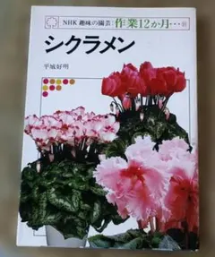 NHK 趣味の園芸 作業12か月 シクラメンのサムネイル