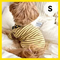 【Sサイズ】袖ハート　ボーダートップス　シンプル　犬　猫　ペット服　カラバリ