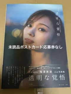 Item thumbnail for item 10cfbf70-5016-472e-8e78-33f95dd5e1a5