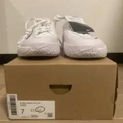 Item thumbnail for item a2aae15b-5f9c-4c71-8c09-037963bd5eb9