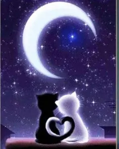 キサラギユフィ様 リクエスト 2点 まとめ商品