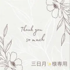 ◆三日月✨様専用◆