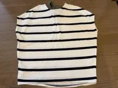 Item thumbnail for item 8b33fa91-130f-4196-8ae1-410c474fd502