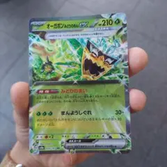 オーガポン みどりのめんex RR SV6 変幻の仮面 016/101