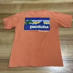 patagonia パタゴニア p6 パタロハ　tシャツ Ｓサイズ